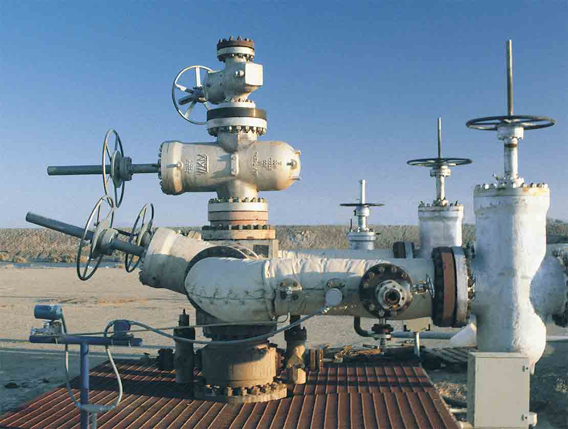 Geothermal Wellhead Systems